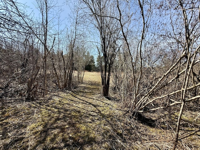 view of nature