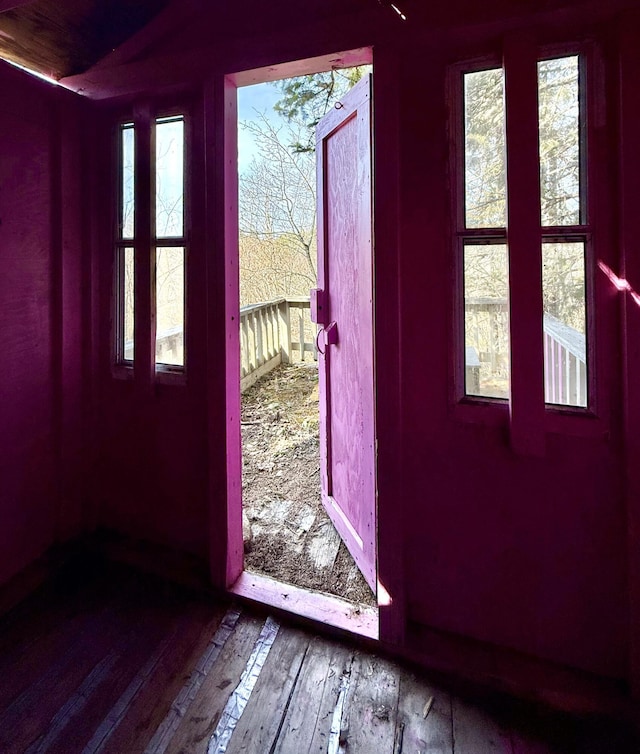 doorway to outside featuring wood-type flooring