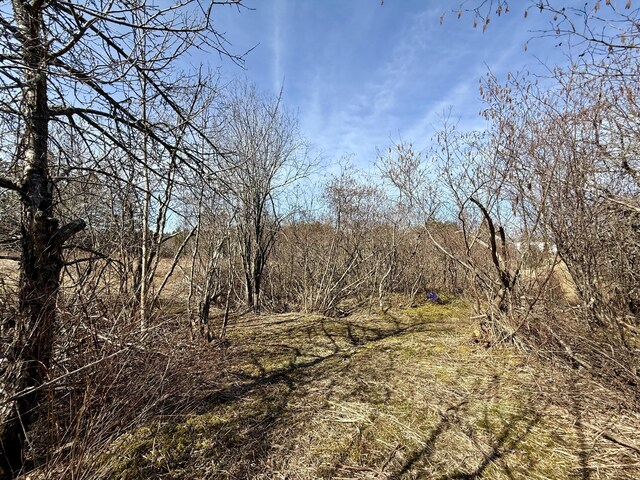 view of nature