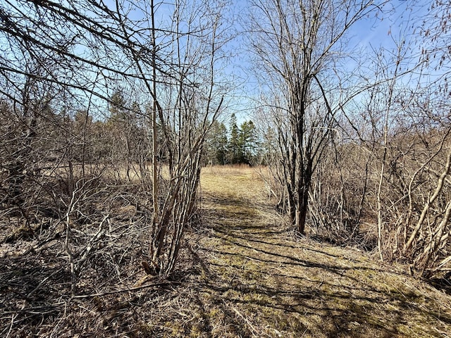 view of nature