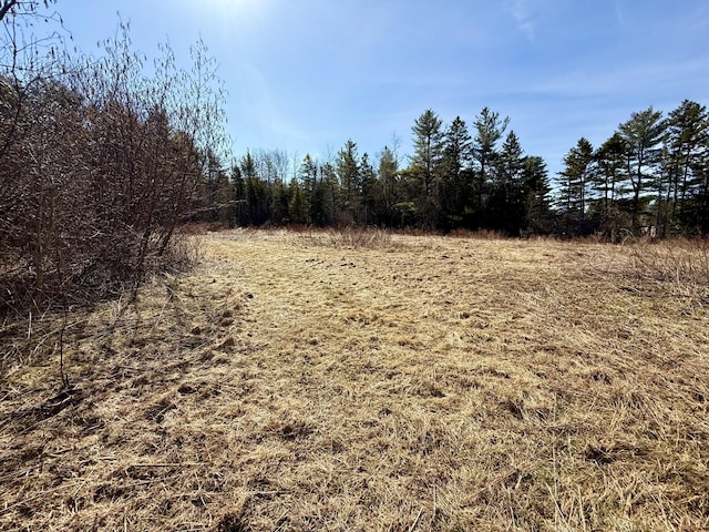 view of landscape featuring a view of trees