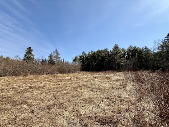 view of nature featuring a wooded view