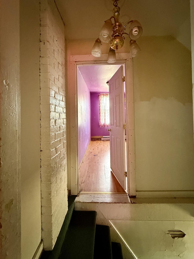 hall with hardwood / wood-style flooring