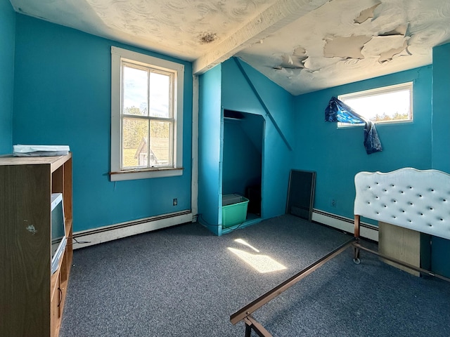 bonus room with carpet floors, a wealth of natural light, and baseboard heating