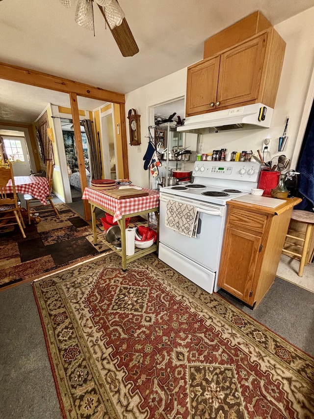 kitchen featuring under cabinet range hood, a ceiling fan, white range with electric stovetop, and carpet floors