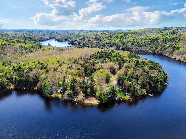 37 Torsey Shores Rd, Readfield, ME 04355 - bird's eye view of a heavily wooded area and a large body of water