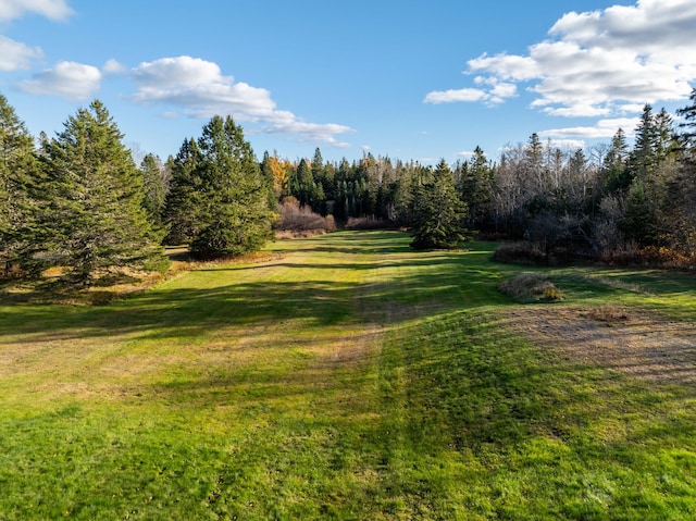 812 County Rd, Lubec, ME 04652 - view of green lawn