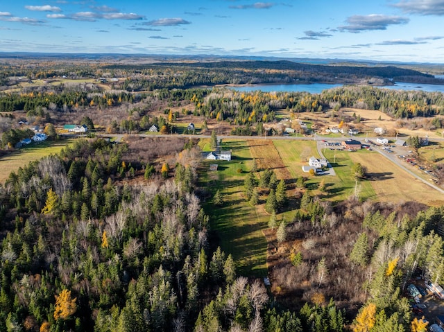 812 County Rd, Lubec, ME 04652 - aerial view of property's location with a nearby body of water and a heavily wooded area