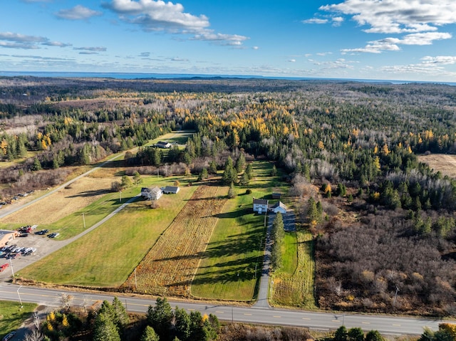 812 County Rd, Lubec, ME 04652 - drone / aerial view of a forest
