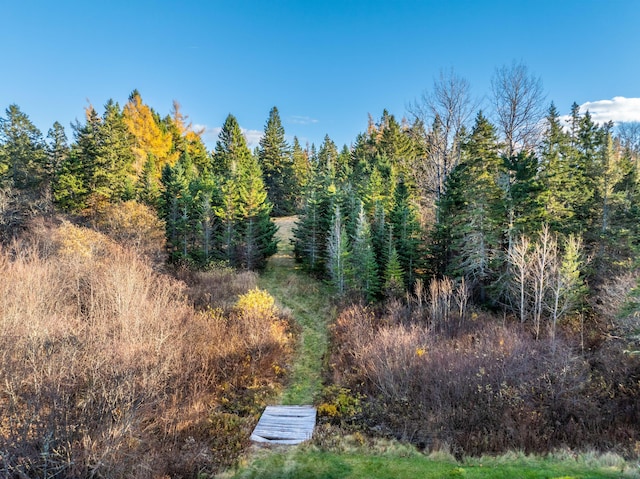 812 County Rd, Lubec, ME 04652 - view of woods