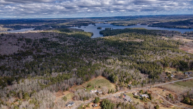 aerial view with a water view and a view of trees