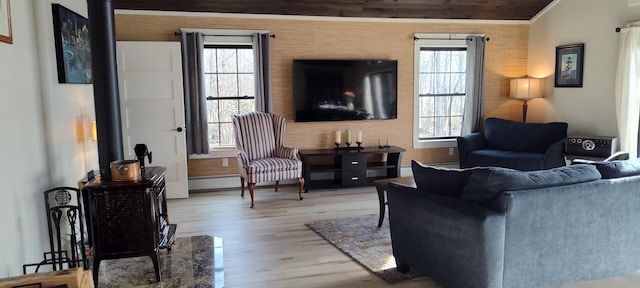 living room featuring light wood finished floors and a baseboard radiator