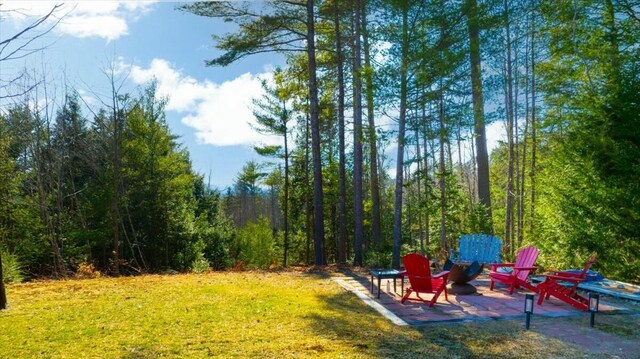 view of yard with a patio area and a view of trees