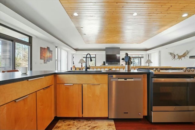 kitchen featuring a wealth of natural light, dark countertops, stainless steel appliances, and a sink