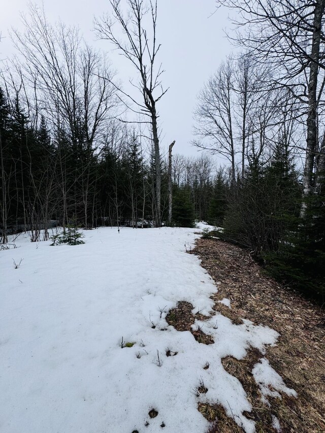 LOT1 Margaret Ln, Rangeley Plt, ME 04970