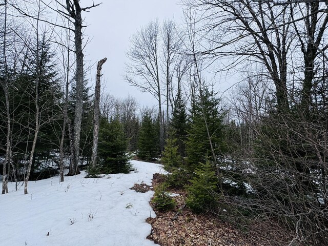 LOT1 Margaret Ln, Rangeley Plt, ME 04970