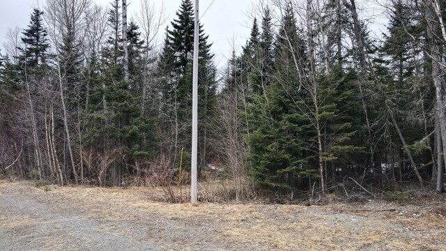 LOT1 Margaret Ln, Rangeley Plt, ME 04970