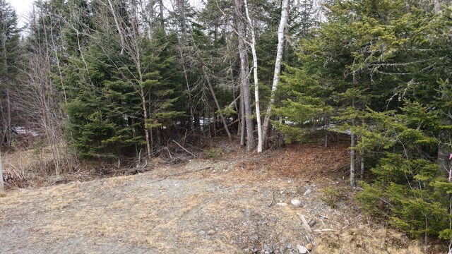 LOT1 Margaret Ln, Rangeley Plt, ME 04970