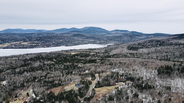 LOT1 Margaret Ln, Rangeley Plt, ME 04970