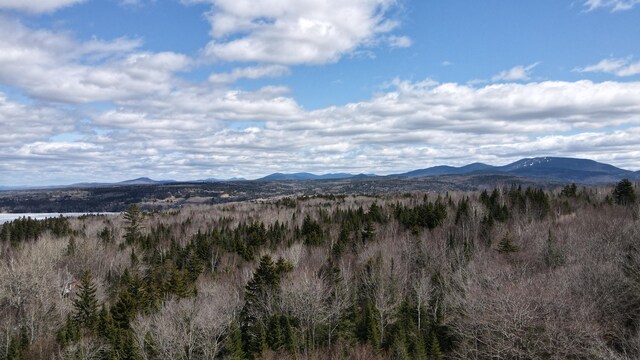 LOT1 Margaret Ln, Rangeley Plt, ME 04970