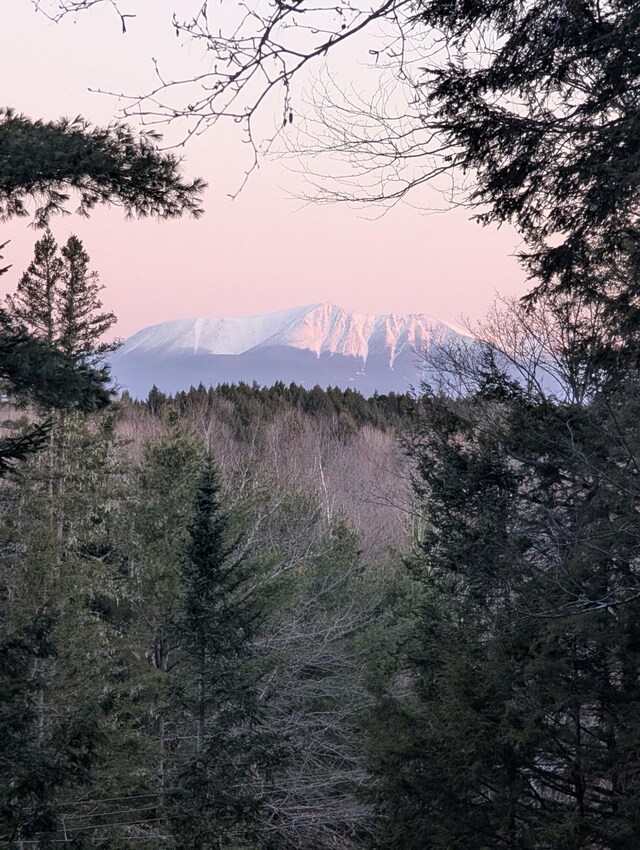 823 Grindstone Rd, Medway, ME 04460 - view of mountain background with a heavily wooded area