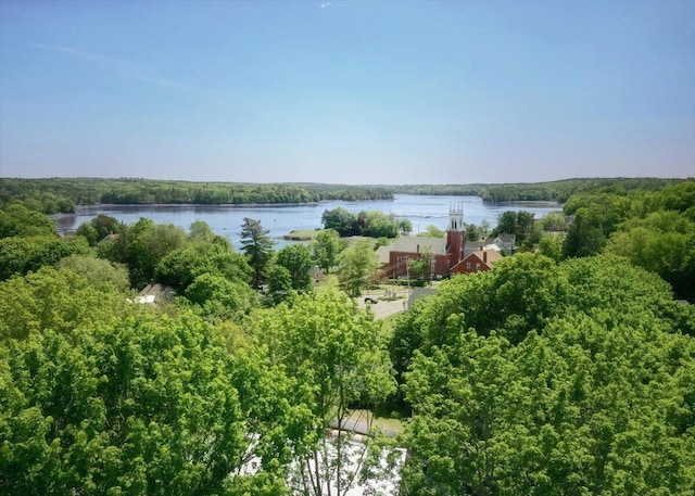 22 Mills Rd, Newcastle, ME 04553 - water view featuring a forest