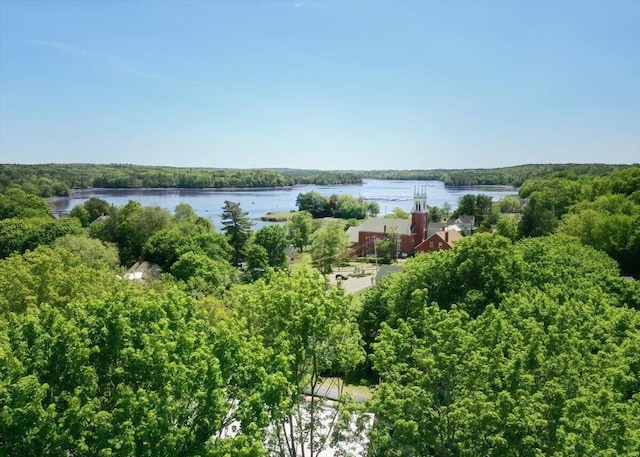 22 Mills Rd, Newcastle, ME 04553 - water view featuring a heavily wooded area