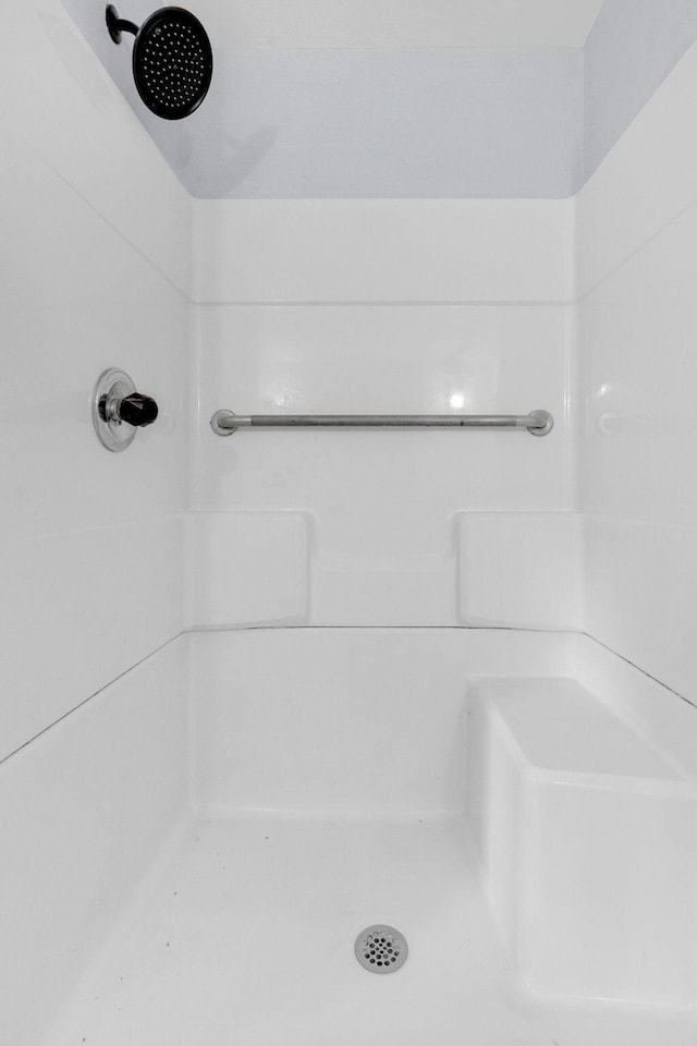 bathroom with a shower