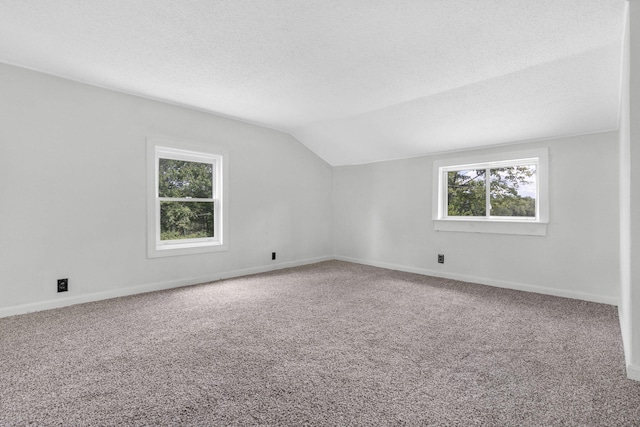 additional living space featuring a healthy amount of sunlight, carpet floors, a textured ceiling, and lofted ceiling