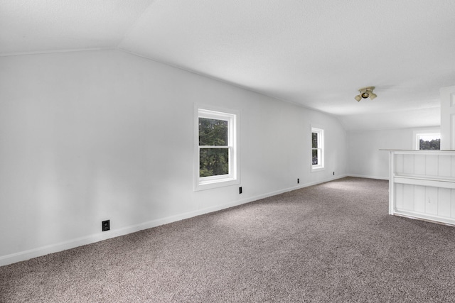 bonus room featuring a healthy amount of sunlight, vaulted ceiling, and carpet floors