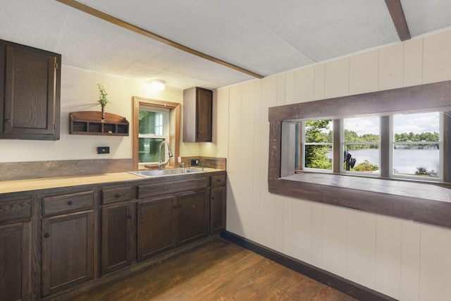kitchen featuring dark brown cabinetry, a water view, dark wood-style flooring, a sink, and wooden walls