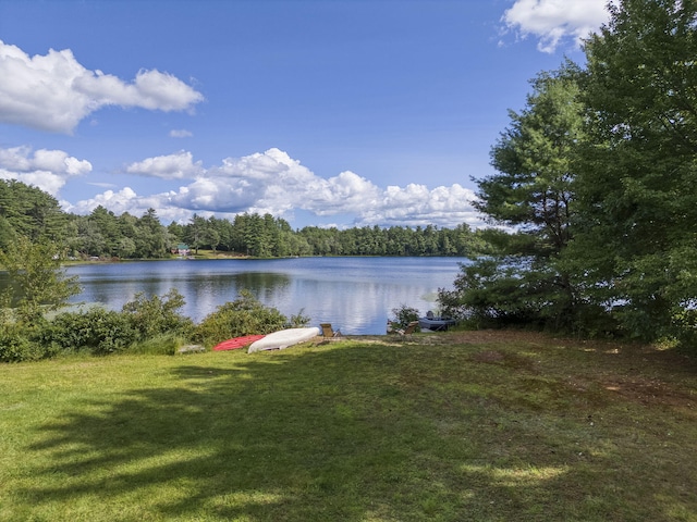property view of water featuring a forest view