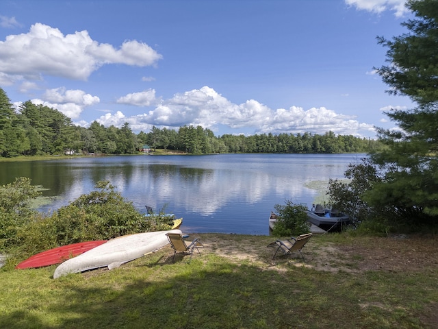 water view featuring a wooded view