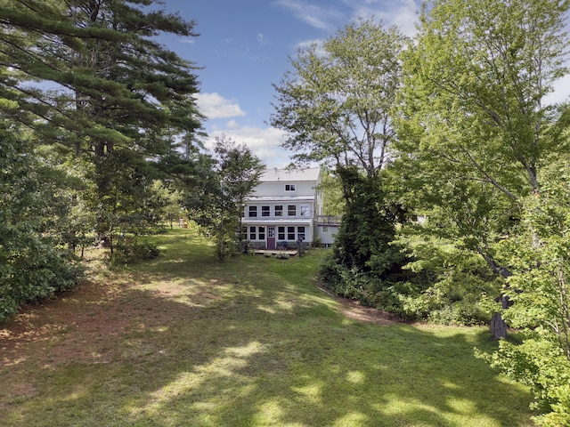 view of yard featuring a wooden deck