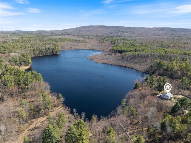 aerial view featuring a wooded view and a water view