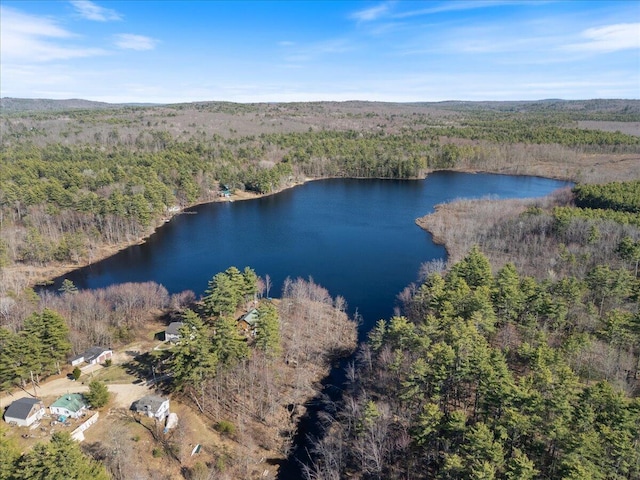 birds eye view of property featuring a water view and a forest view