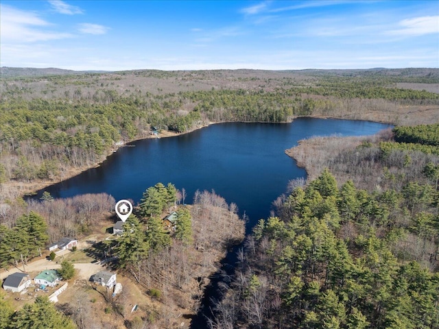 bird's eye view featuring a water view and a view of trees