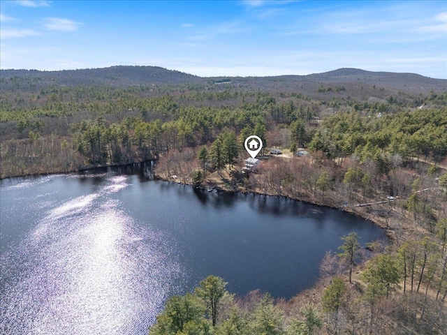 drone / aerial view with a water and mountain view and a wooded view