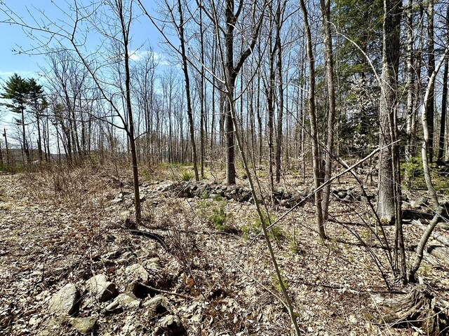 106 Abbott Rd, Acton, ME 04001