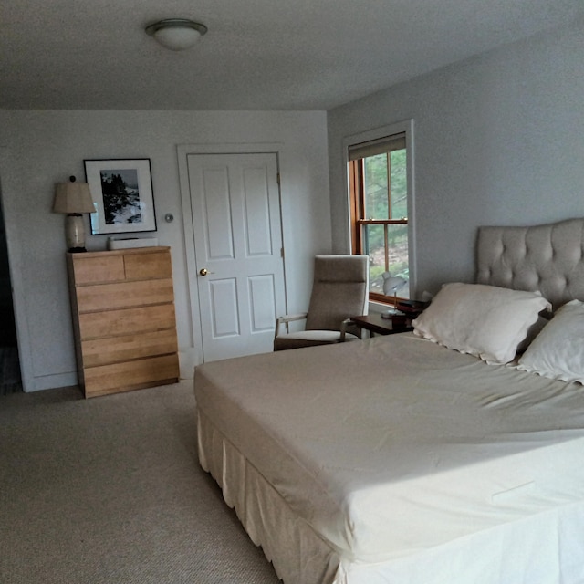 5 Southernpoint Rd, Bristol, ME 04564 - view of carpeted bedroom