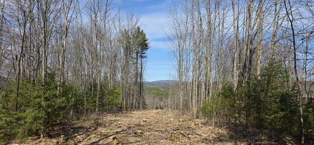 9A-1 Gore Rd, Otisfield, ME 04270 - photo 4
