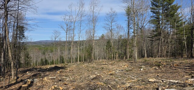 9A-1 Gore Rd, Otisfield, ME 04270 - photo 6