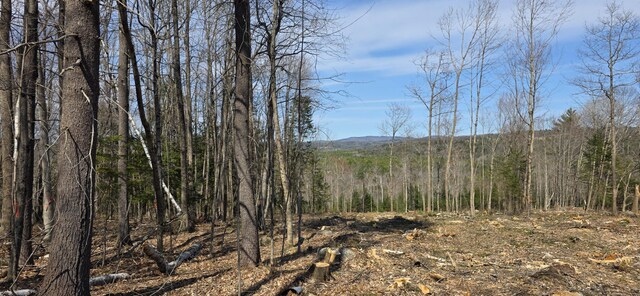 9A-1 Gore Rd, Otisfield, ME 04270 - photo 7