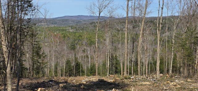9A-1 Gore Rd, Otisfield, ME 04270 - photo 8