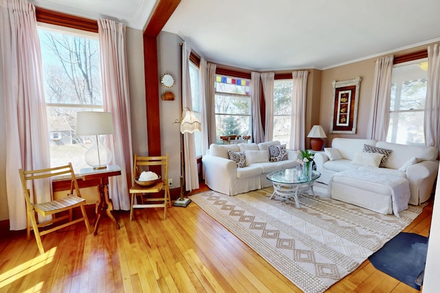 14 Water St, Vinalhaven, ME 04863 - living room featuring hardwood / wood-style floors and ornamental molding