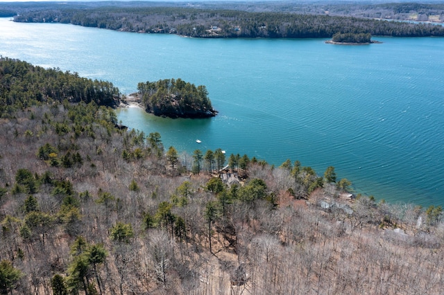 1 Good Day Dr, South Bristol, ME 04568 - bird's eye view with a view of trees and a water view