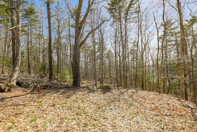 1 Good Day Dr, South Bristol, ME 04568 - view of local wilderness with a wooded view