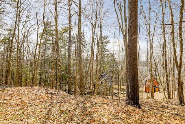 1 Good Day Dr, South Bristol, ME 04568 - view of nature featuring a view of trees