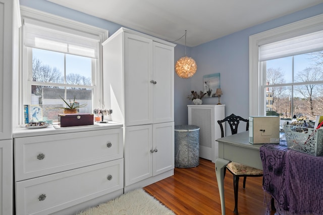 interior space with wood finished floors