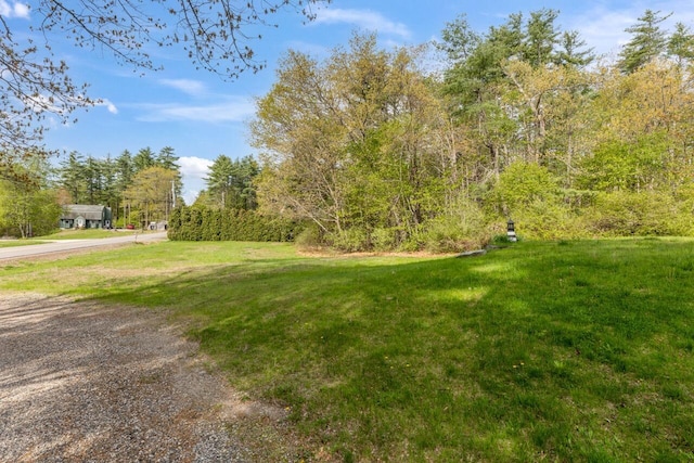 view of grassy yard